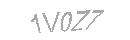 Güvenlik Kodu