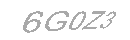 Güvenlik Kodu