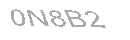 Güvenlik Kodu