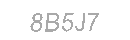 Güvenlik Kodu