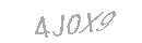 Güvenlik Kodu