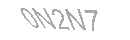 Güvenlik Kodu