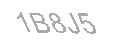 Güvenlik Kodu