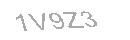 Güvenlik Kodu