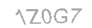 Güvenlik Kodu