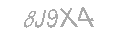 Güvenlik Kodu