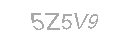 Güvenlik Kodu