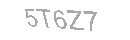 Güvenlik Kodu