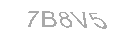 Güvenlik Kodu