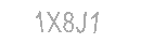 Güvenlik Kodu