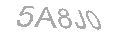 Güvenlik Kodu