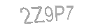 Güvenlik Kodu