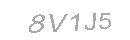 Güvenlik Kodu