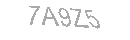 Güvenlik Kodu