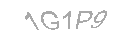 Güvenlik Kodu