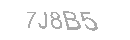 Güvenlik Kodu