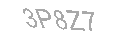 Güvenlik Kodu