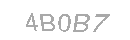 Güvenlik Kodu