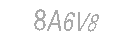 Güvenlik Kodu