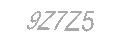 Güvenlik Kodu