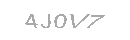 Güvenlik Kodu