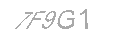 Güvenlik Kodu