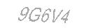 Güvenlik Kodu