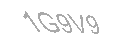 Güvenlik Kodu