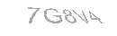 Güvenlik Kodu