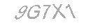 Güvenlik Kodu