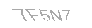 Güvenlik Kodu