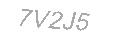 Güvenlik Kodu