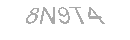 Güvenlik Kodu