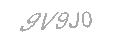 Güvenlik Kodu