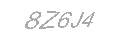 Güvenlik Kodu