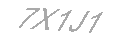 Güvenlik Kodu
