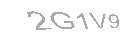 Güvenlik Kodu