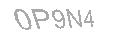 Güvenlik Kodu