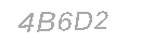 Güvenlik Kodu