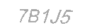 Güvenlik Kodu