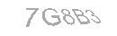 Güvenlik Kodu