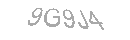 Güvenlik Kodu