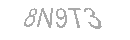 Güvenlik Kodu