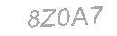 Güvenlik Kodu