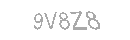 Güvenlik Kodu