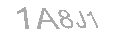 Güvenlik Kodu
