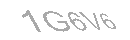 Güvenlik Kodu