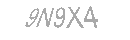Güvenlik Kodu