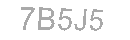 Güvenlik Kodu