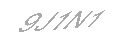 Güvenlik Kodu